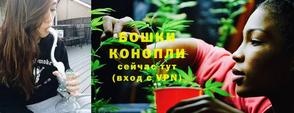 дурь Осинники