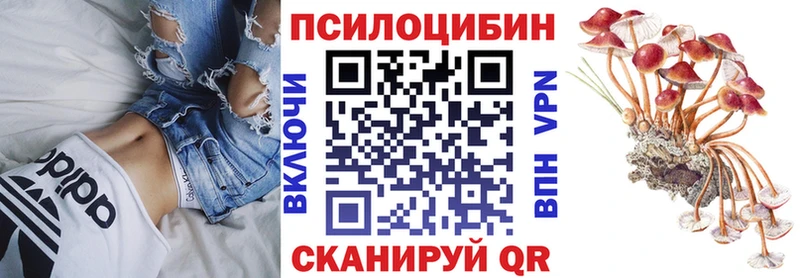 Псилоцибиновые грибы Cubensis  закладки  Нарткала 