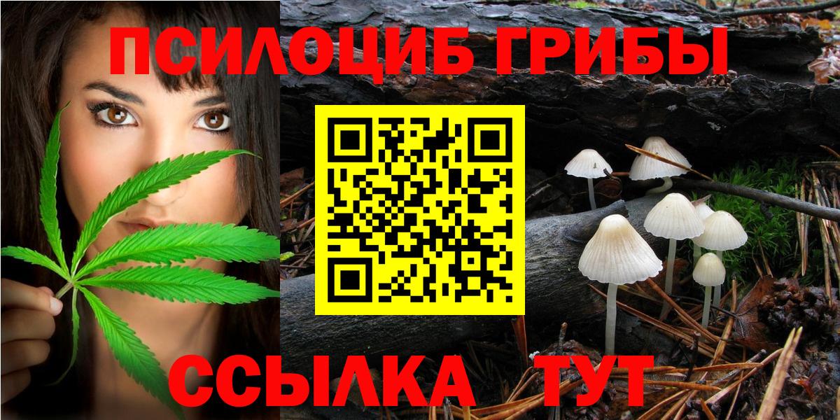 Галлюциногенные грибы Нарткала