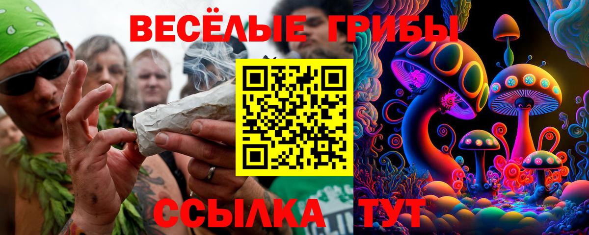 Псилоцибиновые грибы Cubensis Нарткала