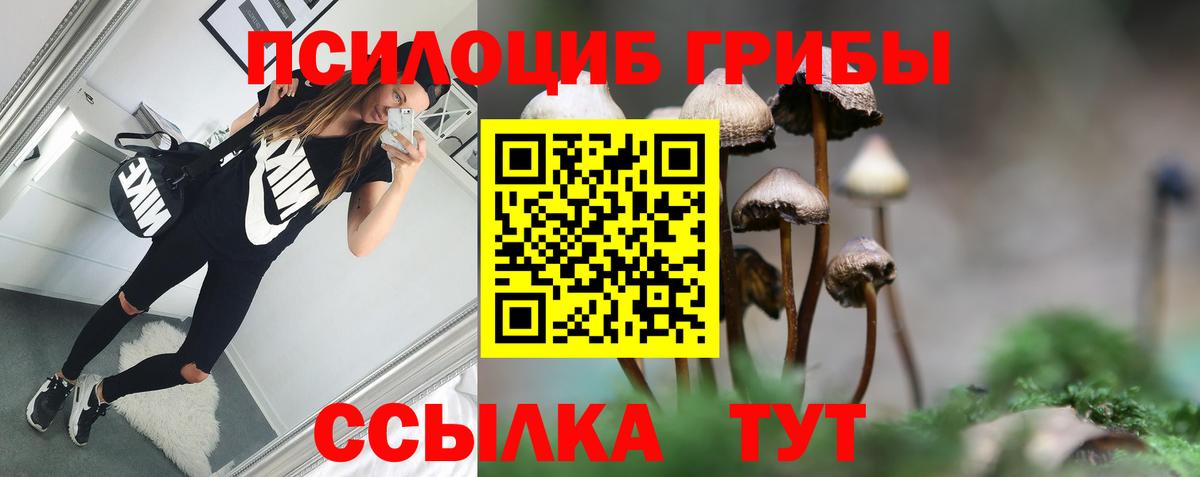 Псилоцибиновые грибы Cubensis  Вход с VPN  Нарткала 