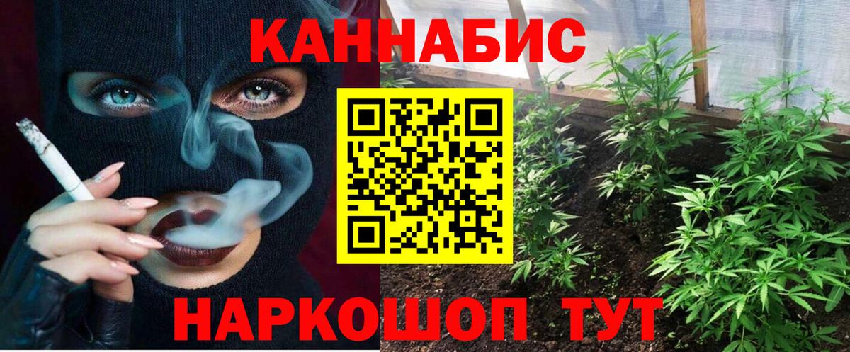 Канабис OG Kush  Шишки марихуана план  Шишки марихуана план  Вход с VPN  Нарткала 